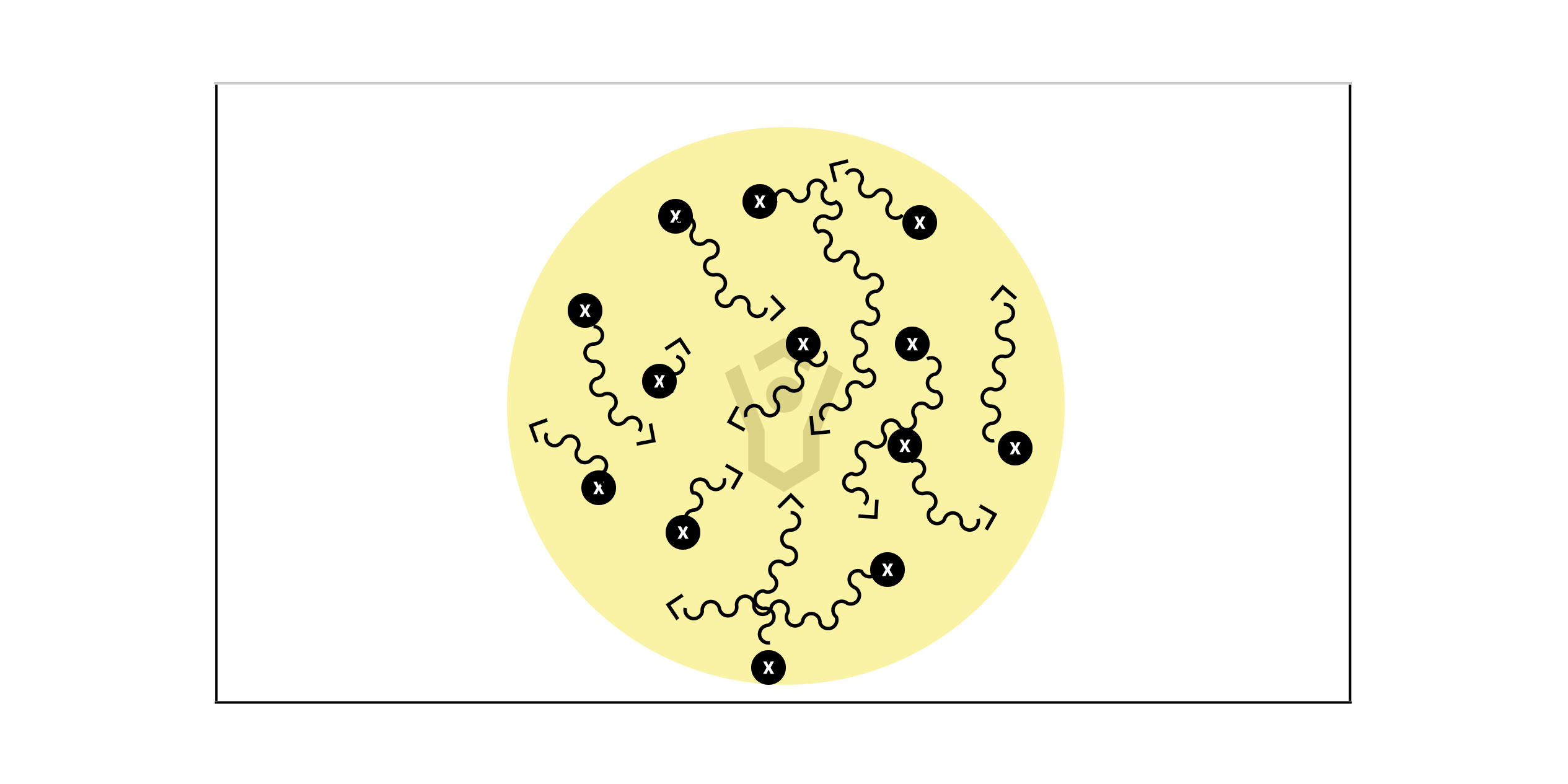 Scan The Field Warm Up Preview