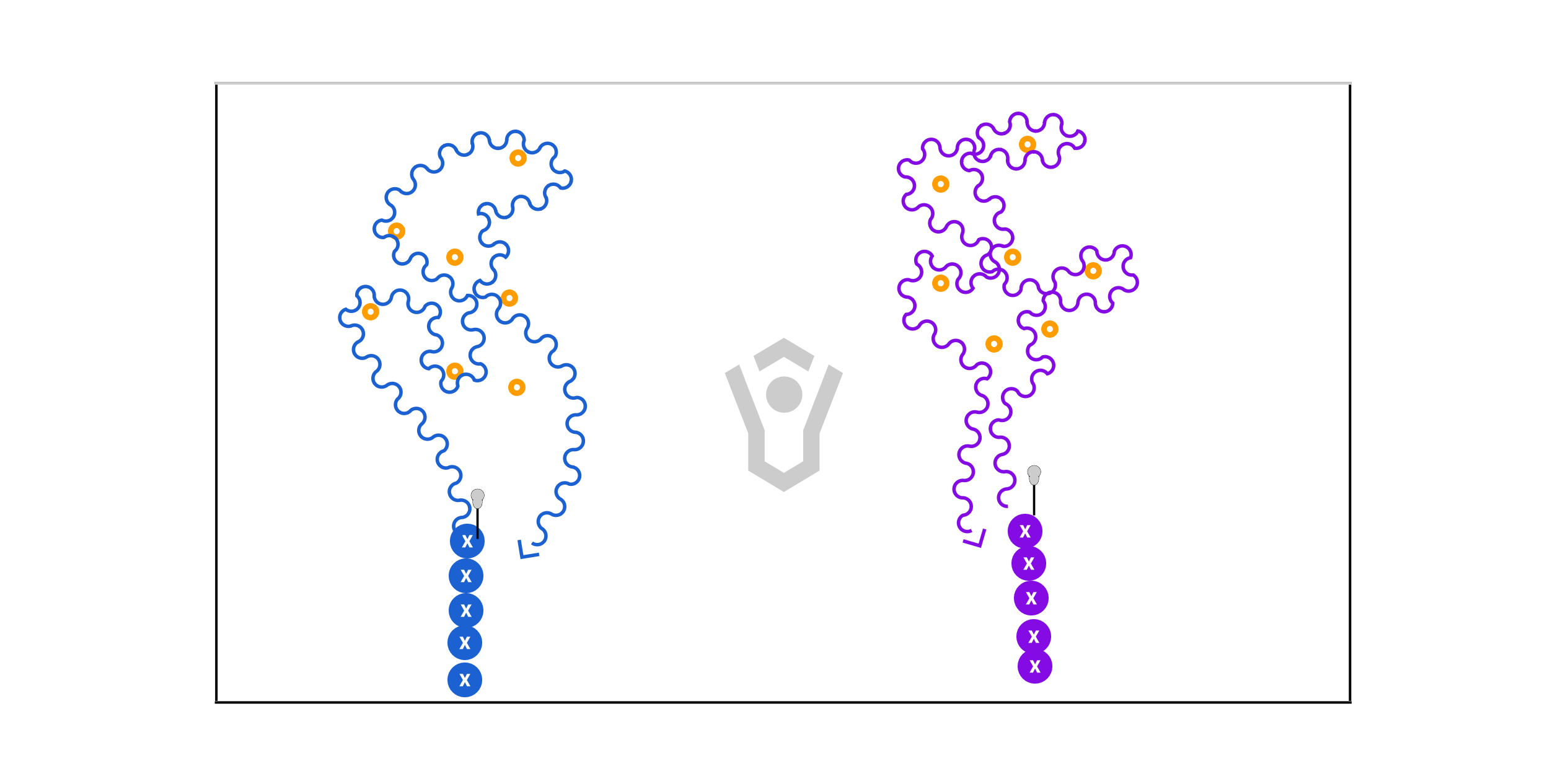 5 Player Space Cradle Preview