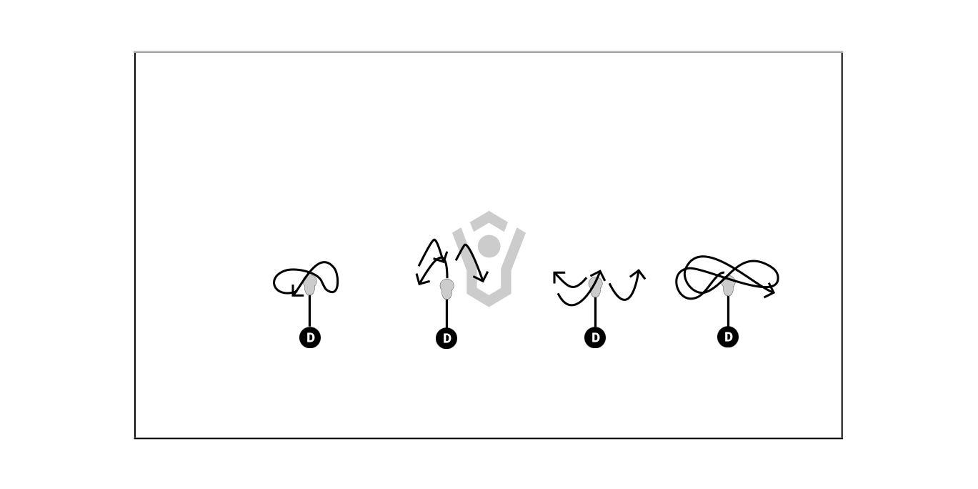 Hand Speed Preview
