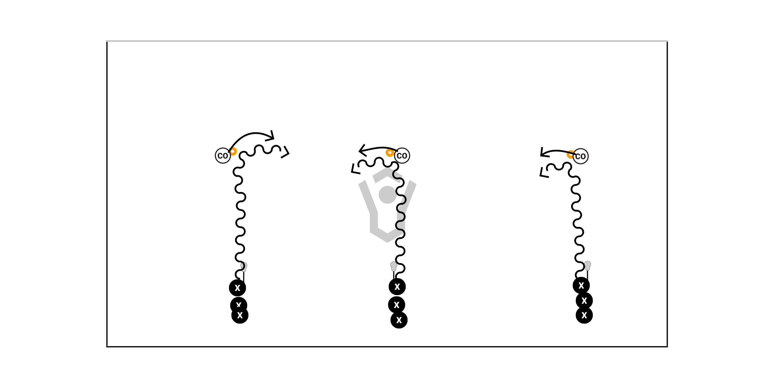 5 Player Line Drill With Rolls Preview