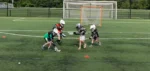 Ground Ball Rodeo