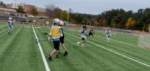 Small Field Rabbit Game