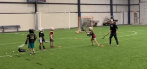 Wing Dodges With Guided Defense